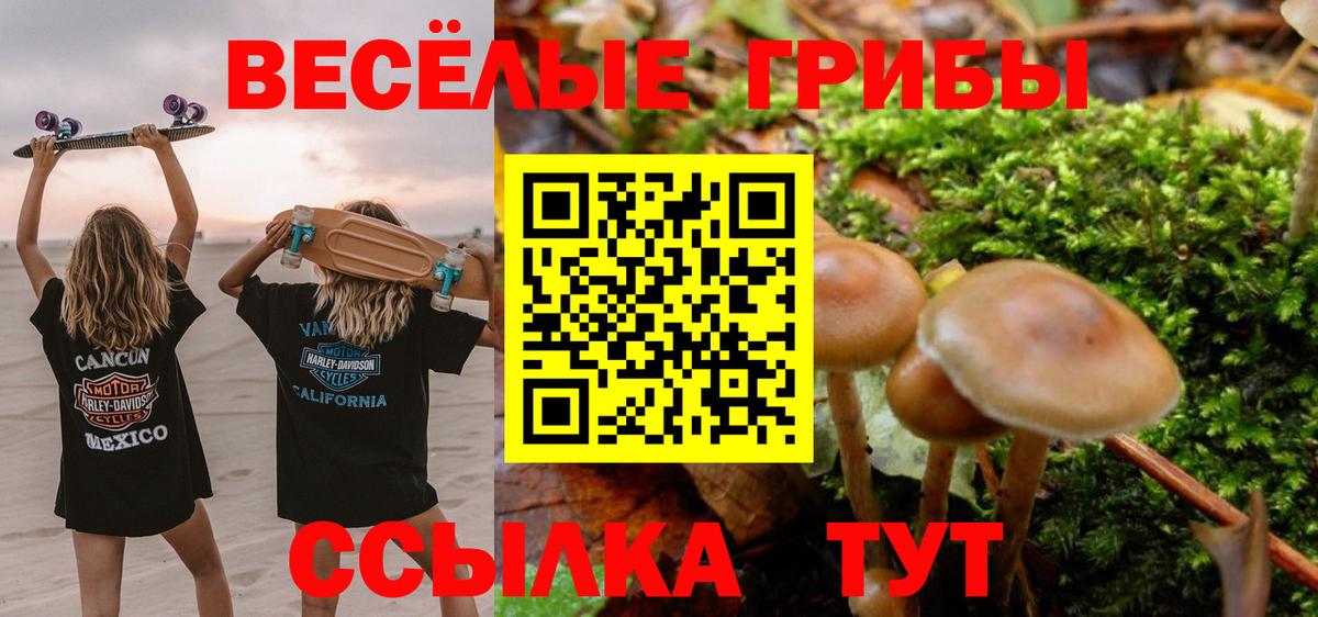 Владивосток  Псилоцибиновые грибы Cubensis  Вход с VPN 